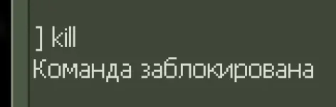 1 (4).webp