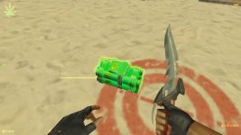 Bomb Effect Defuse-0-00-25-337.jpg